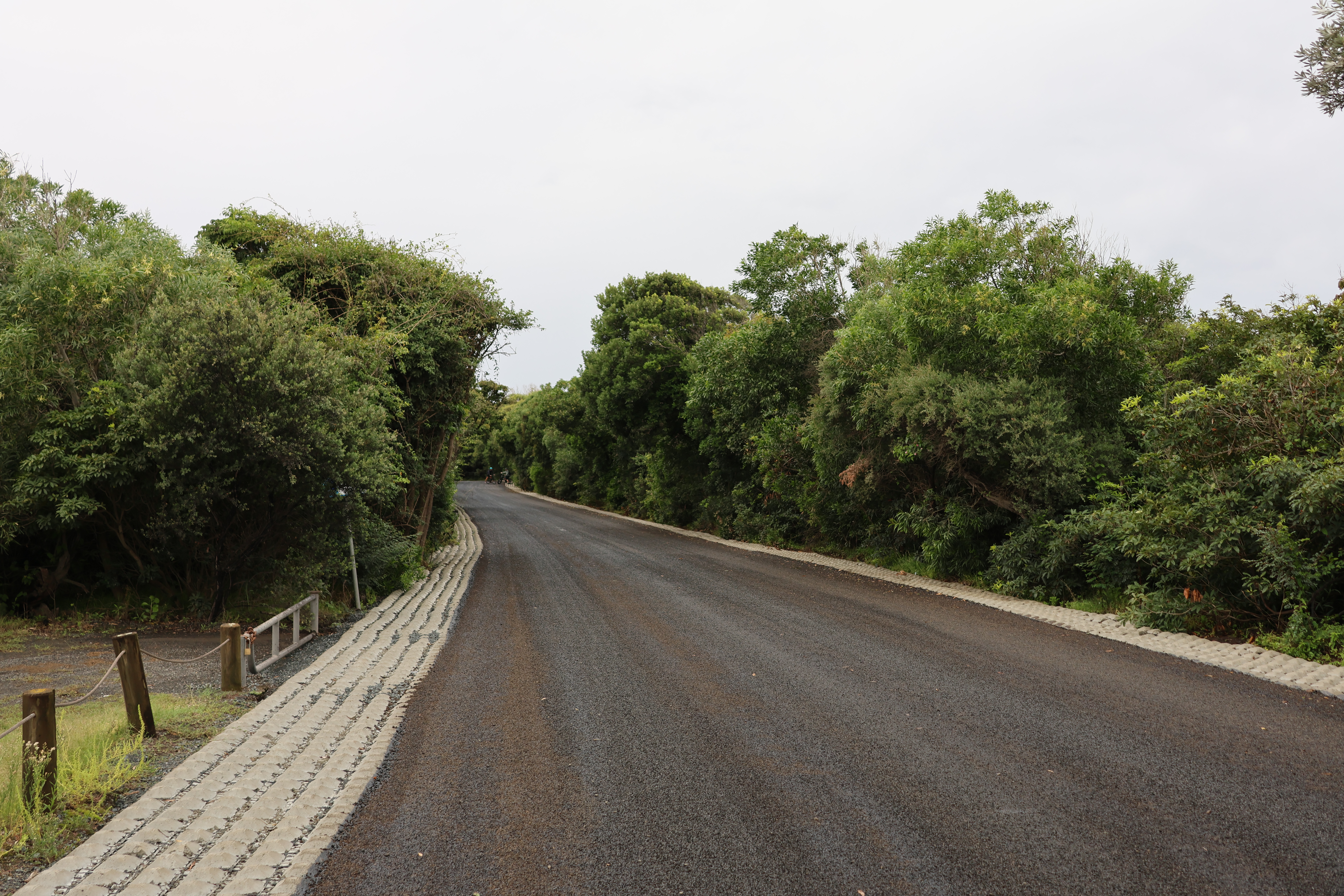Bass Point Tourist Road Upgrade Complete | Shellharbour Council